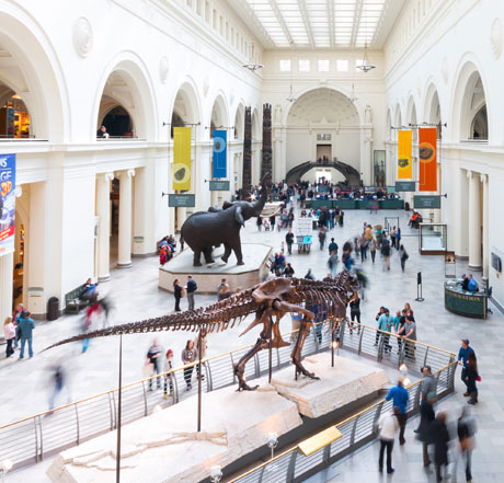 museums-img
