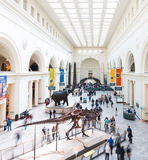 the field museum